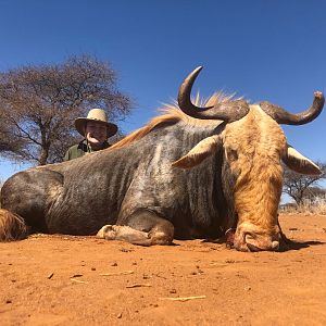 Kings Wildebeest Hunt South Africa