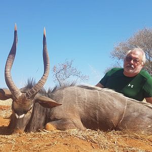 Nyala Hunt South Africa