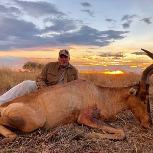 Red Hartebeest Hunt South Africa