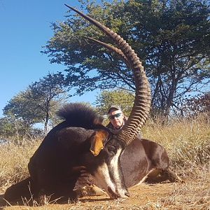 South Africa Hunting Sable Antelope