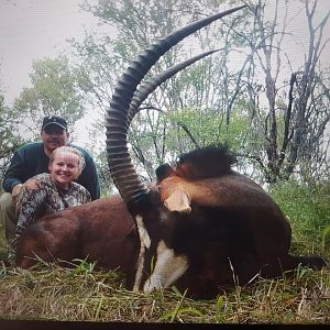 South Africa Hunt Sable Antelope