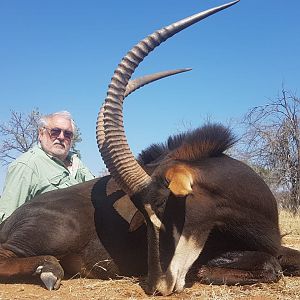 Sable Hunting South Africa