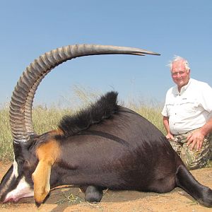 Hunt Sable Antelope in South Africa