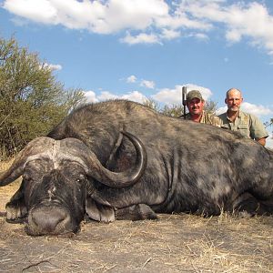 Cape Buffalo Hunt South Africa