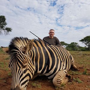 Burchell's Plain Zebra Hunting South Africa