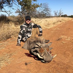 Hunt Warthog in South Africa