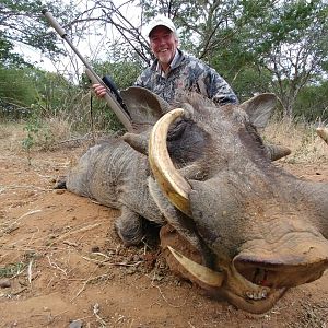 South Africa Hunting Warthog