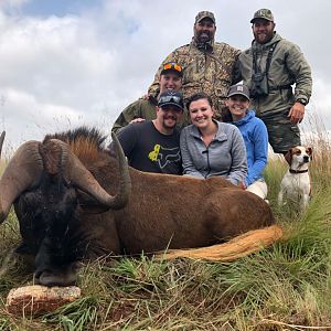 South Africa Hunt Black Wildebeest