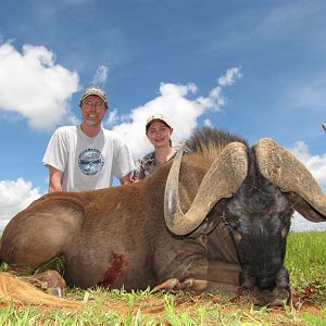 Black WIldebeest Hunting South Africa