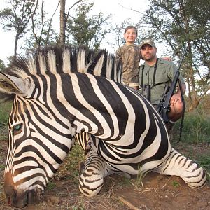 Hunt Burchell's Plain Zebra in South Africa