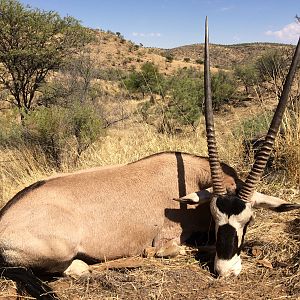 Hunting Gemsbok in Namibia