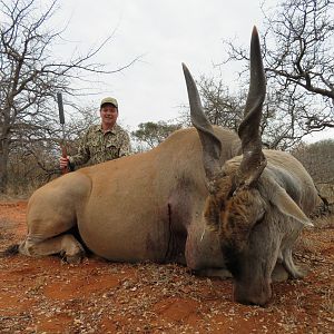 South Africa Hunt Eland