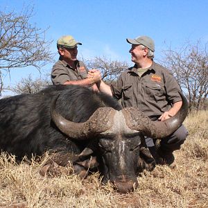 Cape Buffalo Hunting South Africa