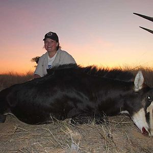 Namibia Hunting Sable Antelope