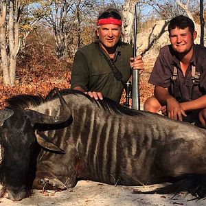 Namibia Hunt Blue Wildebeest