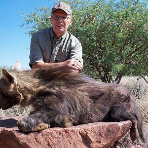 Brown Hyena Hunt Namibia