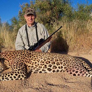 Hunt Leopard in Namibia