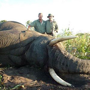 Elephant Hunt Namibia