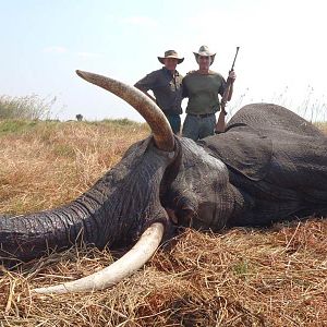 Namibia Hunt Elephant