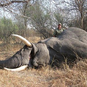 Elephant Hunt Namibia