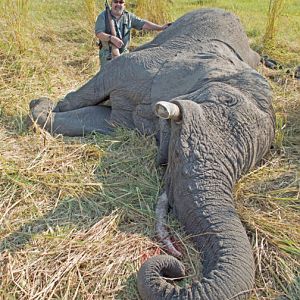 Namibia Hunting Elephant