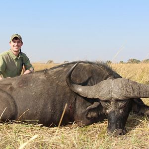 Buffalo Hunting Namibia