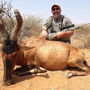 Red Hartebeest Hunting Namibia