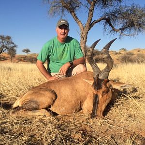 Namibia Hunt Red Hartebeest