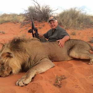 Namibia Hunting Lion