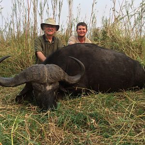 Namibia Hunting Cape Buffalo