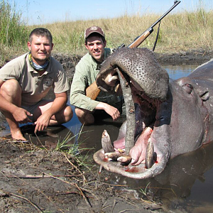 Hunting Hippo in Namibia