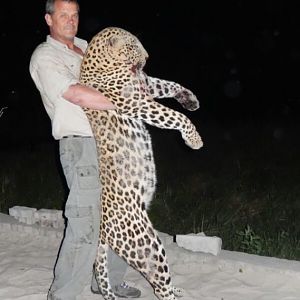 Namibia Hunting Leopard