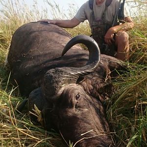 Hunt Cape Buffalo in Namibia