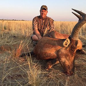 Hunt Red Hartebeest in Namibia