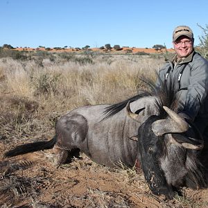 Blue Wildebeest Hunting Namibia