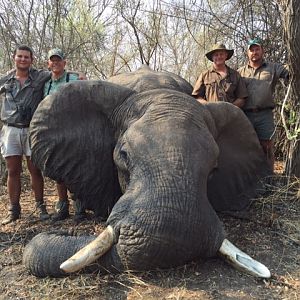 Namibia Hunting Elephant