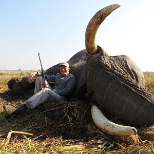 Namibia Hunt Elephant