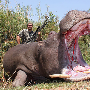 Hippo Hunt Namibia