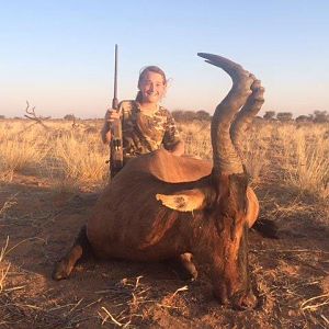 Namibia Hunt Red Hartebeest