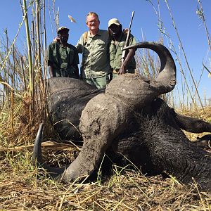 Cape Buffalo Hunting Namibia