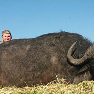 Namibia Hunting Buffalo