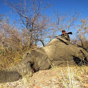 Namibia Hunt Tuskless Elephant