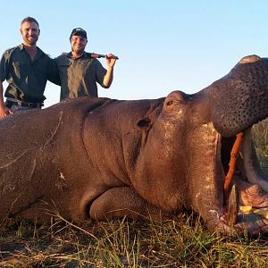 Hunting Hippo in Namibia