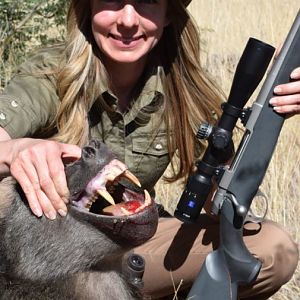 Baboon Hunt Namibia