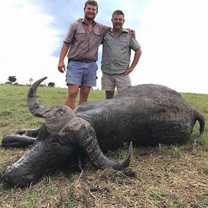 Namibia Hunt Cape Buffalo