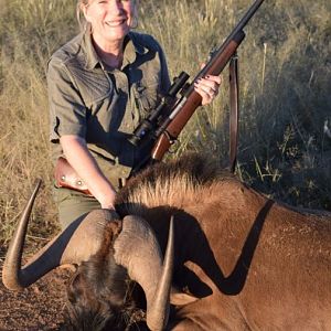 Hunting Black Wildebeest