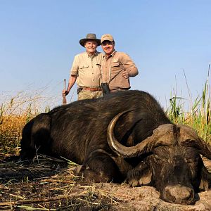 Namibia Hunt Cape Buffalo