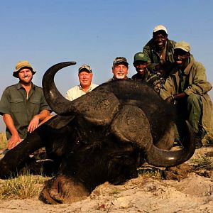 Buffalo Hunting Namibia