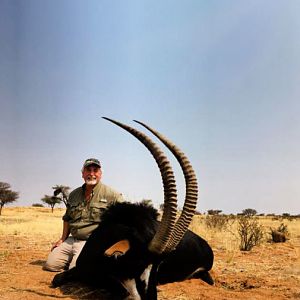 Hunting Sable Antelope in Namibia