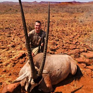 Gemsbok Hunt Namibia